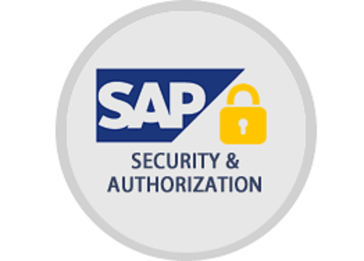 SAP Security Reports: Authorizations, Roles & Users